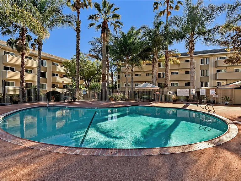 Solar heated pool