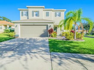 11156 Goldenrod Fern Dr, Riverview, FL 33569