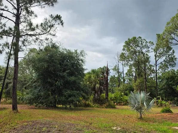 LOT 41 Perennial Rd Lot 41, North Pt, FL 34291