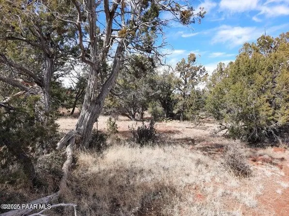 53 N Shadow Rock Trl, Seligman, AZ 86337