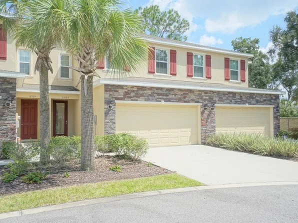 13107 Canopy Creek Dr, Tampa, FL 33625