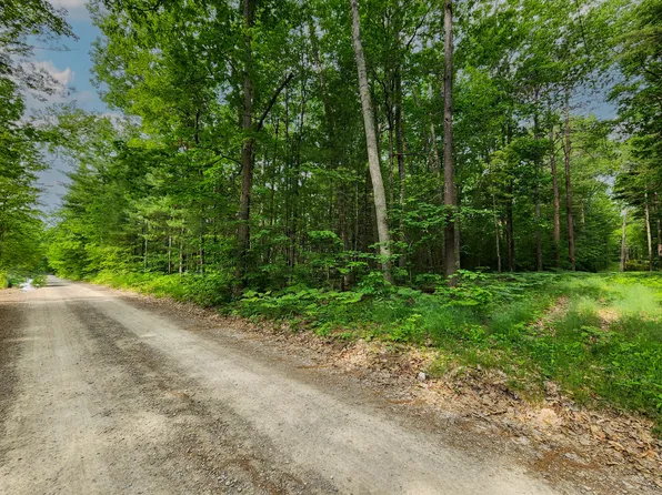 E Grand Blvd, Topinabee, MI 49791