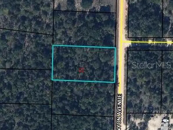 0 Canyon Ave Lot 5, Alford, FL 32420