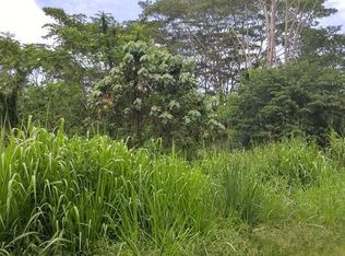 18th Ave LOT 466, Keaau, HI 96749