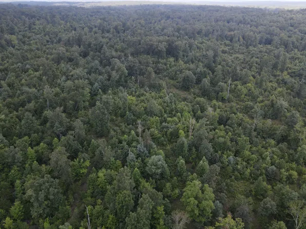 0 Wash Pelfrey Rd #1, Evensville, TN 37332