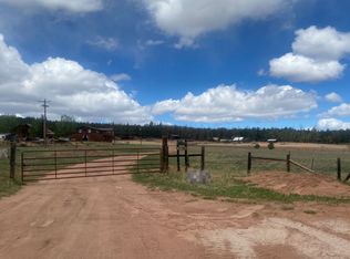 9851 Manchester Creek Rd, Divide, CO 80814