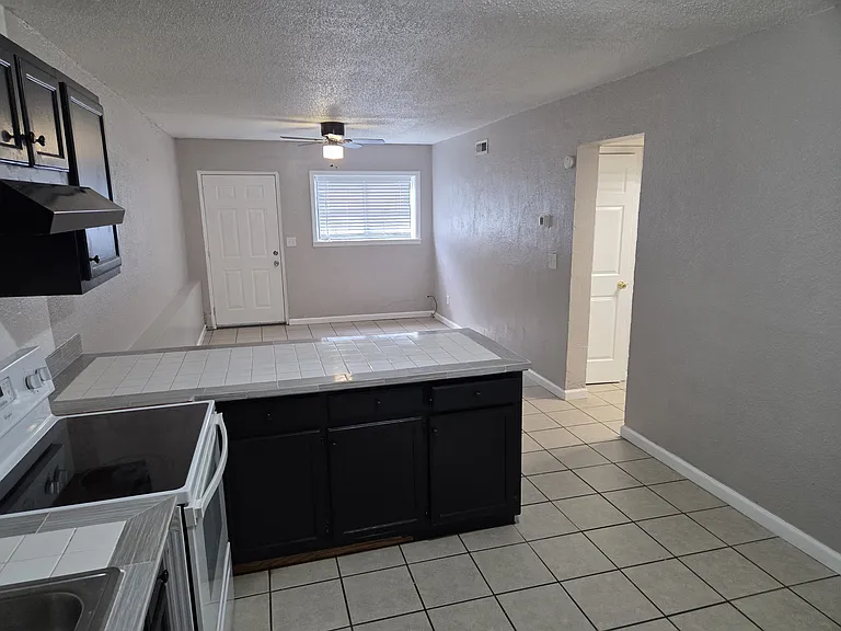 Kitchen and Living Room