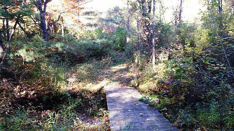 5th image of 0 PRICE Lane