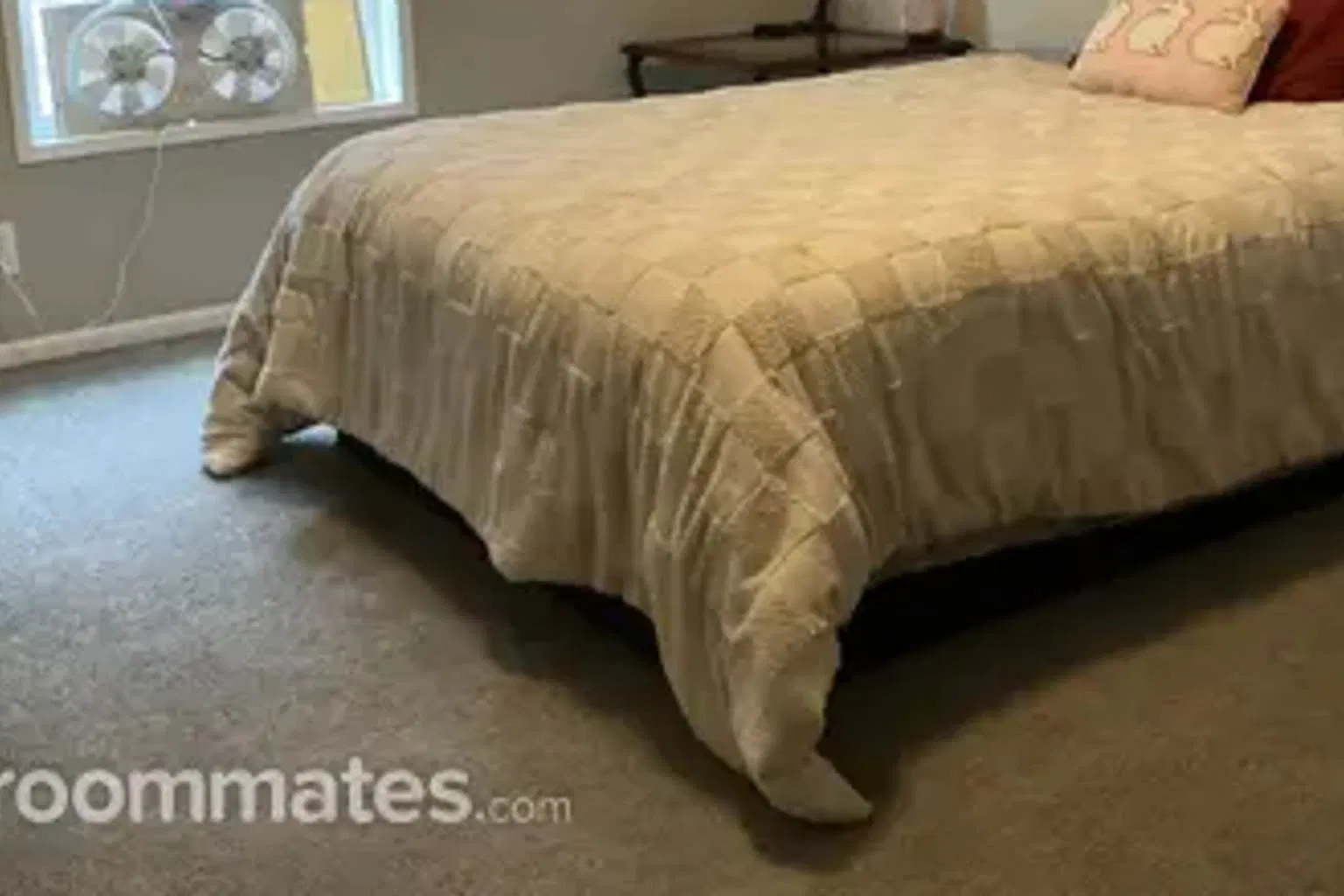 3 bed, 1280 sqft, $1,000 — Photo 3