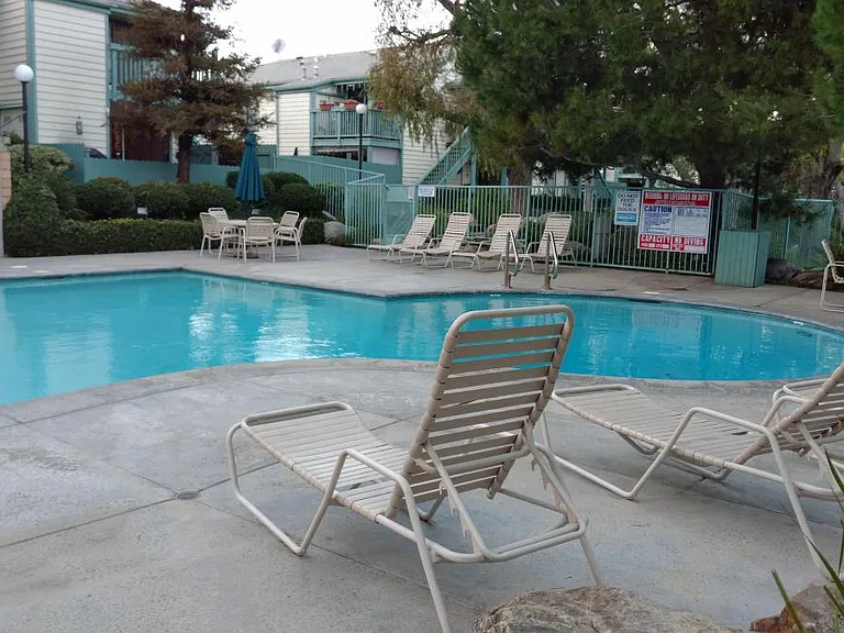 Swimming Pool/Spa