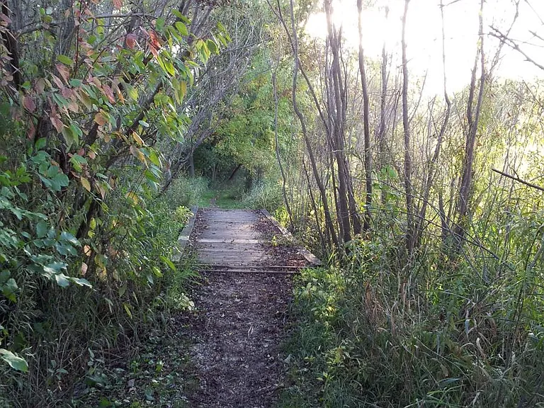 Walking trails