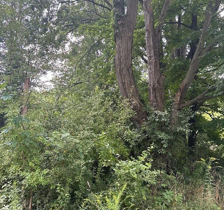 1st image of Waterford Hill Ter