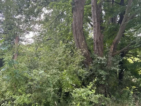 Waterford Hill Ter, Clarkston, MI 48346