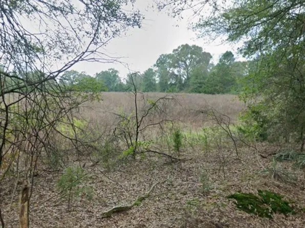 County Road 3325, Pittsburg, TX 75686