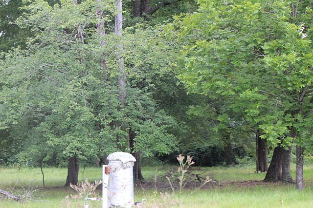 1st image of 1433 Us Highway 319 N