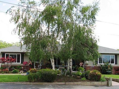 354 Rennie Ave, San Jose, CA, 95127