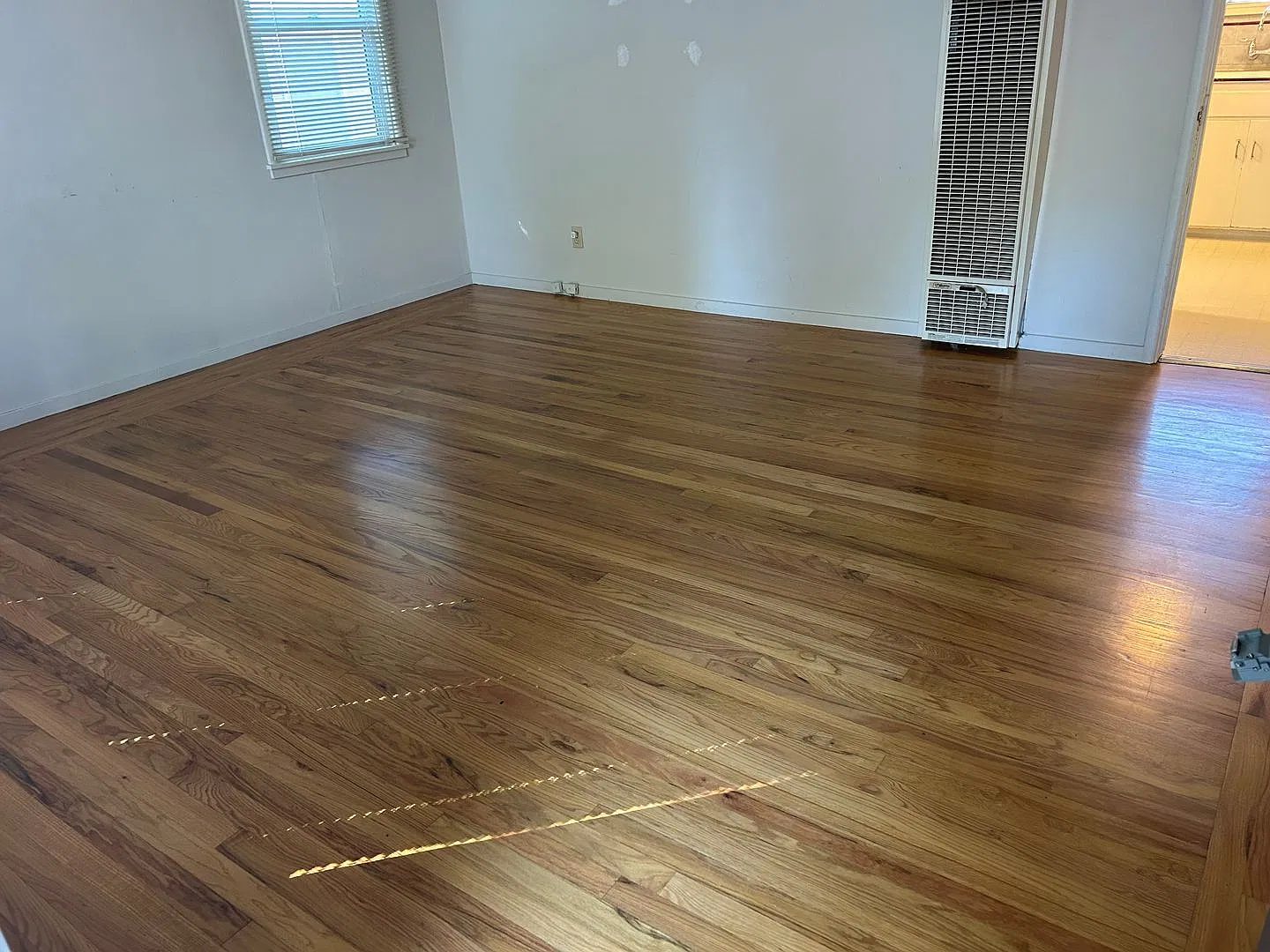 1 Bedroom, 1 Bath Sebastopol Gem — Photo 3