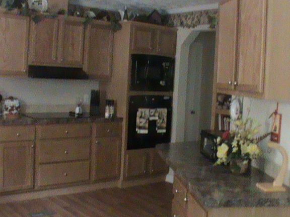 view from dining room 