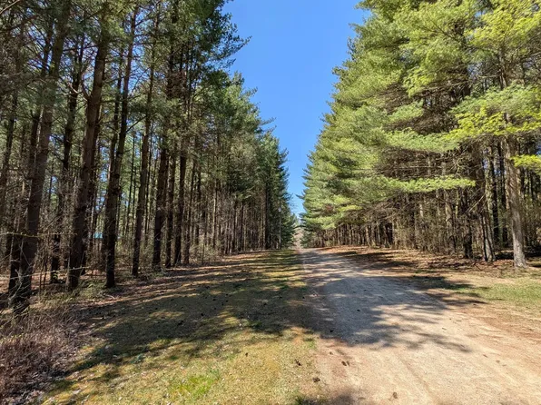 3665 Arivaca Dr, Millington, MI 48746