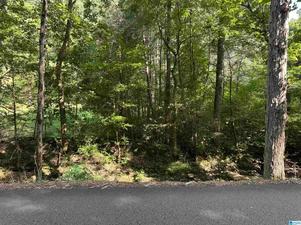 5615 Miles Spring Rd #3, Pinson, AL 35126