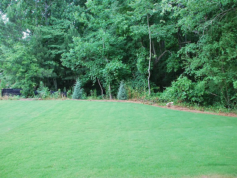 100 Thimbleberry Dr — Photo 30