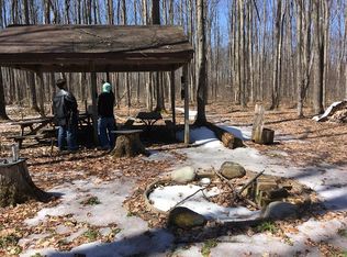 8805 W County Road 612, Frederic, MI 49733