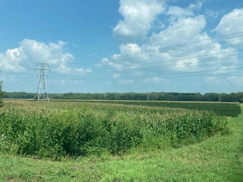 2nd image of Fuelberth Rd