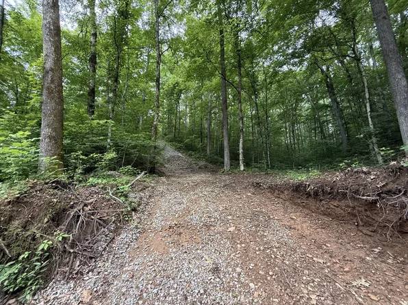 0 Hassells Creek Ln, Centerville, TN 37033