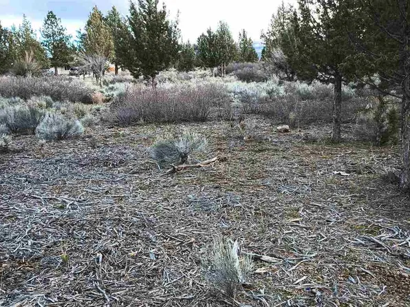 8-2/5-20530 Big Springs Rd, Weed, CA 96094