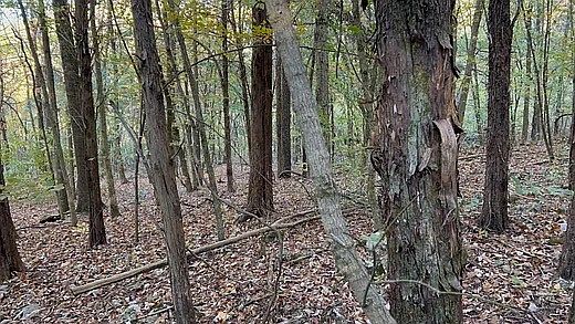 3rd image of 2474 Garner Rd