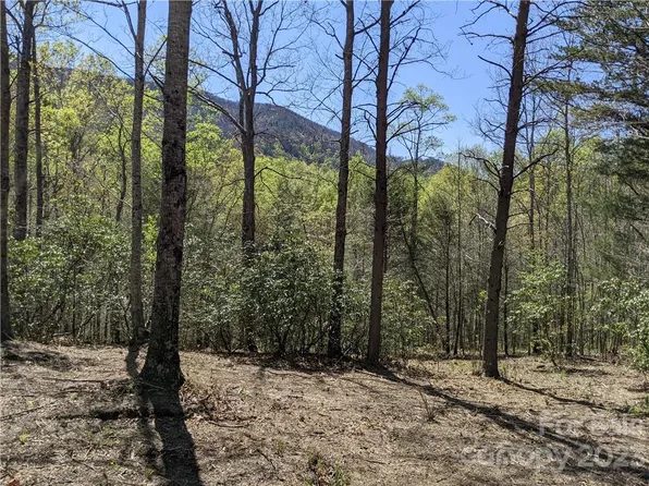 C28 Nuthatch Ln #C28, Black Mountain, NC 28711