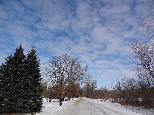 2nd image of 4102 Calkins Rd