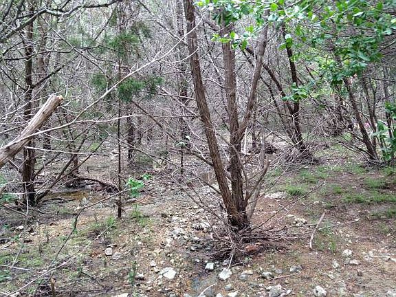 5th image of 560 Eagles Peak Dr