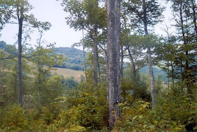 2nd image of Jont Mountain Rd