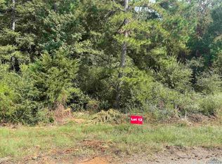 12 County Road 2204d & Dm #1797, Tatum, TX 75691