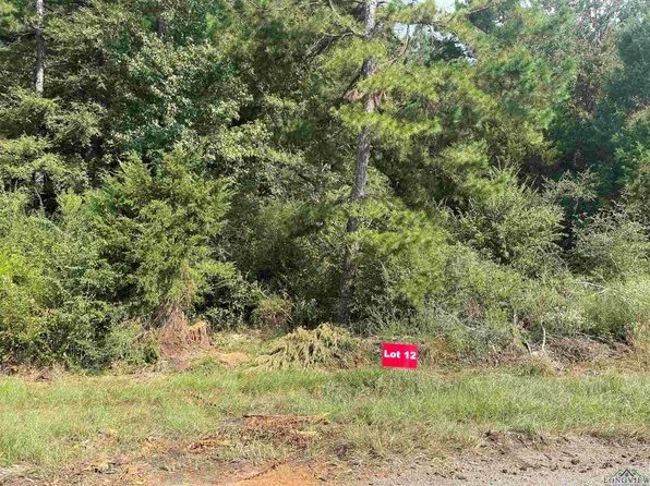 12 County Road 2204d & Dm #1797, Tatum, TX 75691