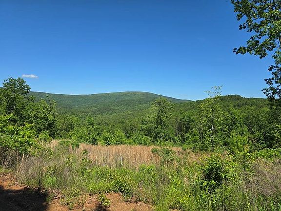 12th image of 9 Heavener