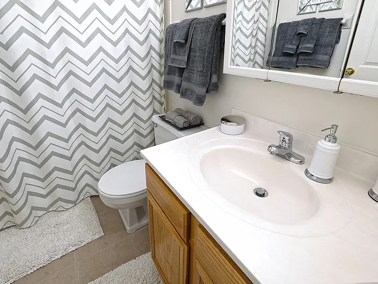 Bathroom with Vanity and Medicine Cabinet at Ashmore Trace