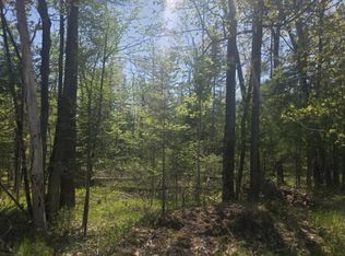 N Lakeshore Dr, Harrisville, MI 48740