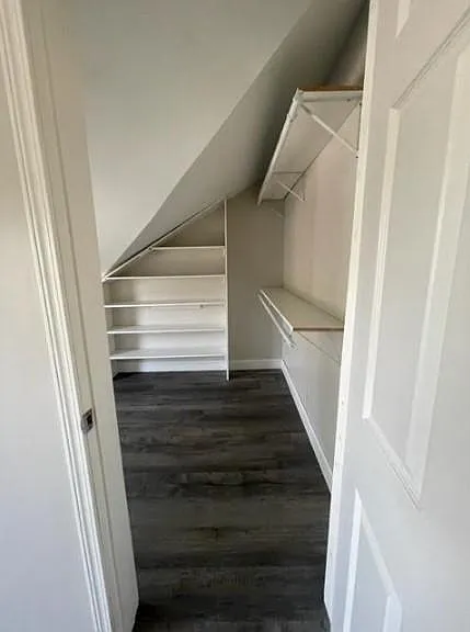 Huge walk-in closet off bedroom