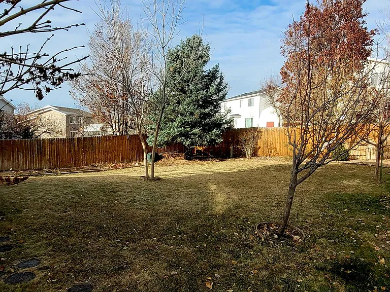 10885 Mount Bross Way — Photo 38