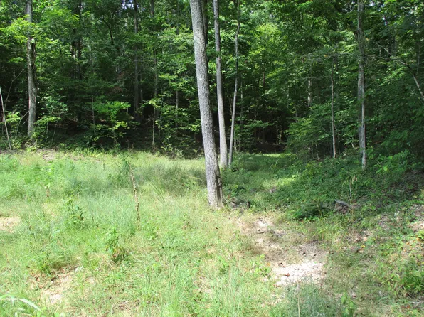 1613 Red Bank Creek Rd, Lobelville, TN 37097