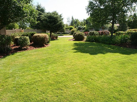 Front Yard-View #1
