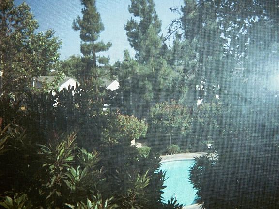 View from one of the Master Bedrooms