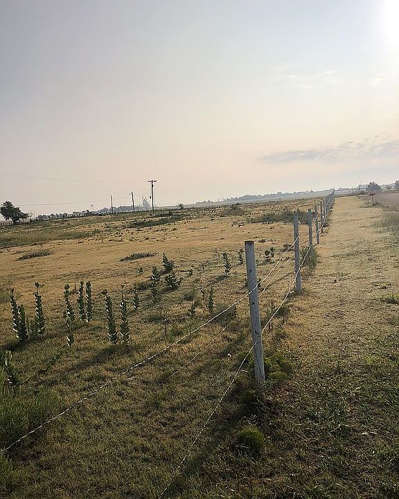 City land
13+ acres