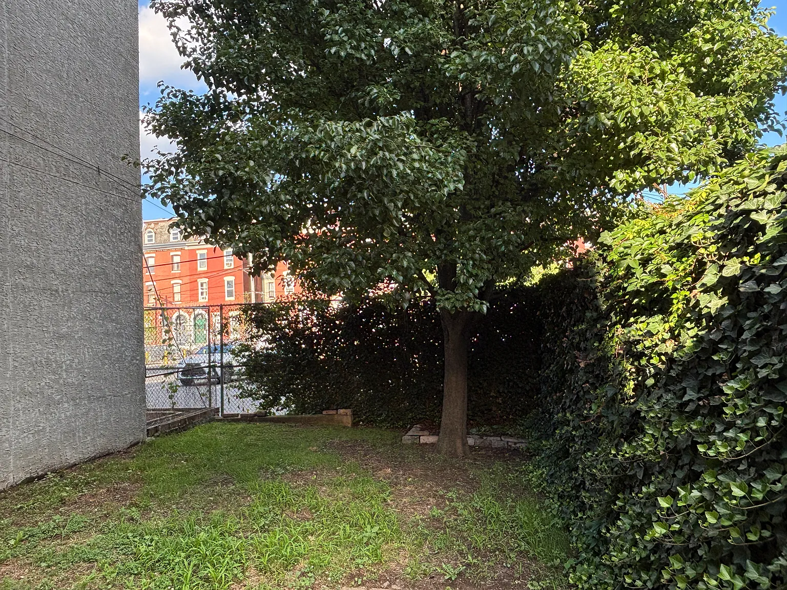 1 bed, 500 sqft, $1,595 — Photo 4