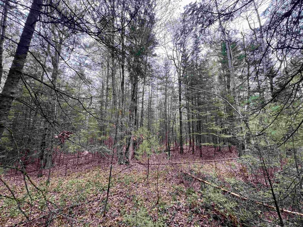 Bruette Rd #1, Wausaukee, WI 54177