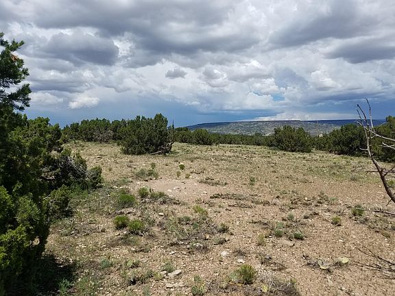 5th image of Camino De Silvestre