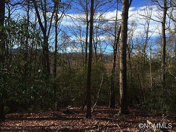 2nd image of 99999 Merrills Cove Rd