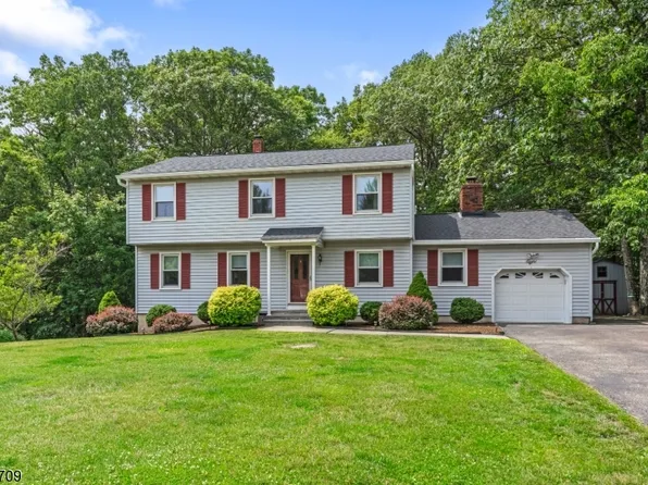 8 Belle Ct, Mount Olive Twp., NJ 07828